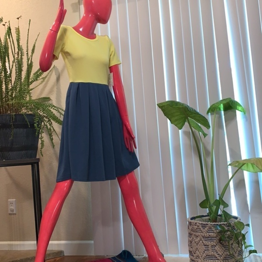 New LulaRoe Dress